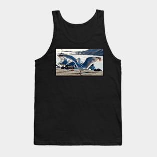 Le Conquet -  Goélands Tank Top